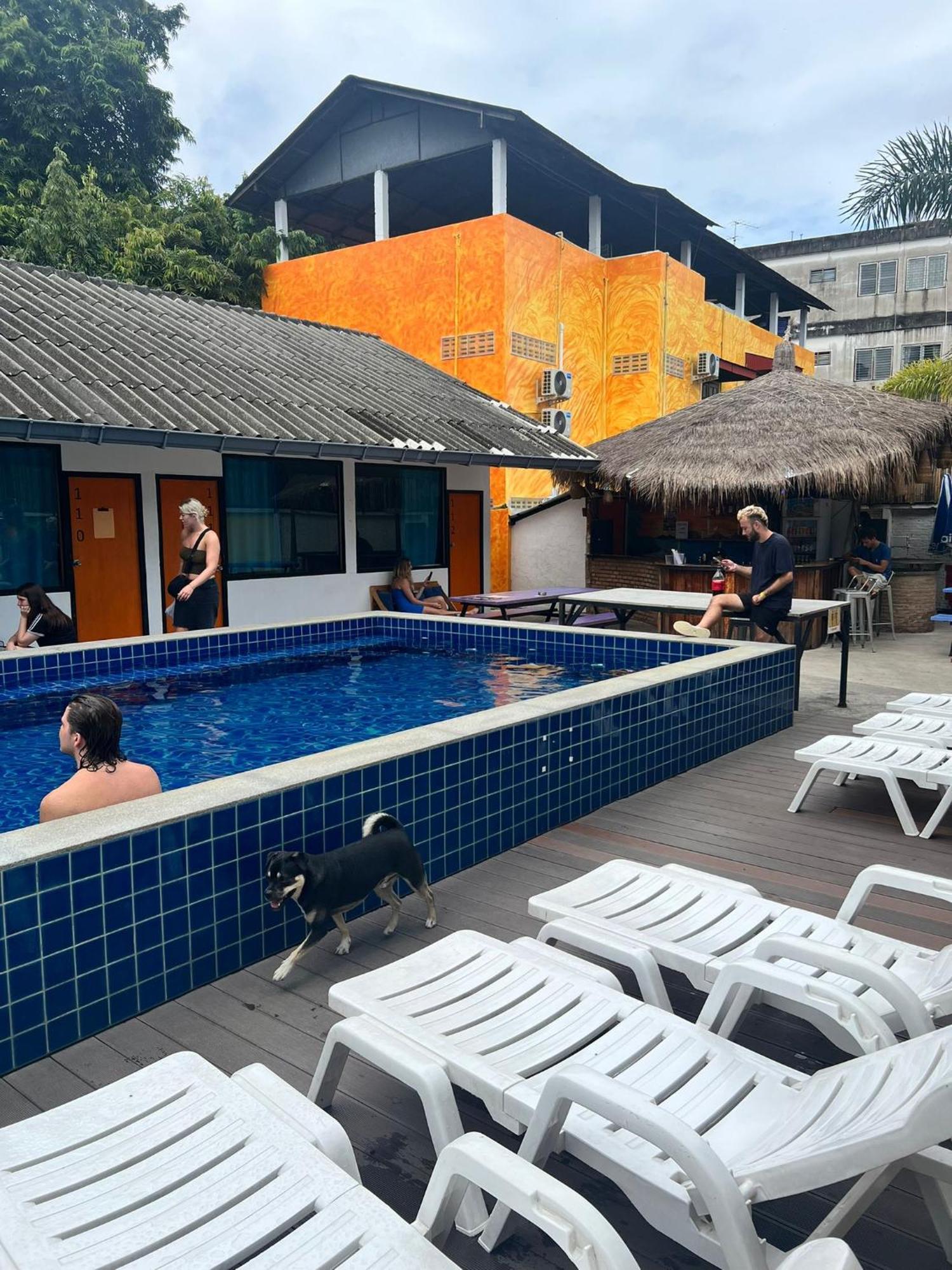 Hostel Revolution Chiang Mai - Old Town Exterior foto